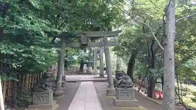 渋谷氷川神社の鳥居