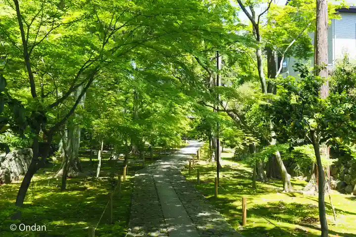 鹿王院(京都府)