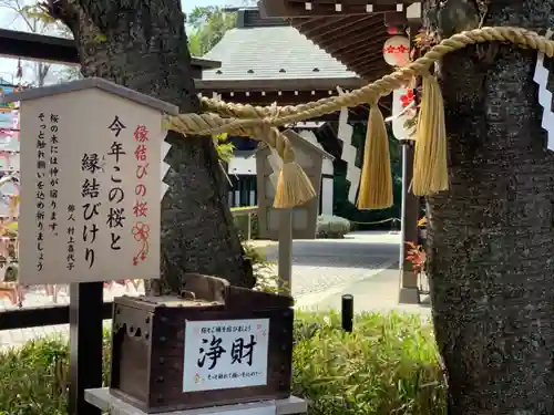 櫻木神社の自然
