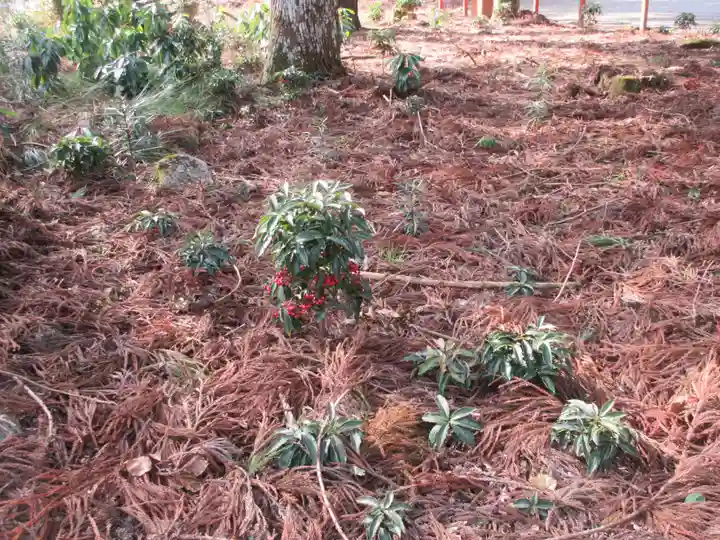 日吉大社(滋賀県)