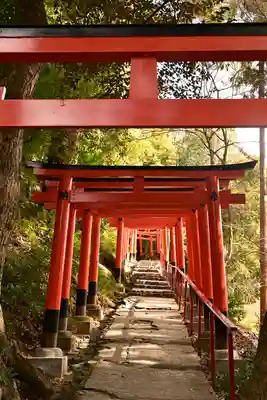 賀茂別雷神社（上賀茂神社）(京都府)