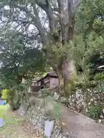 流谷八幡神社(大阪府)