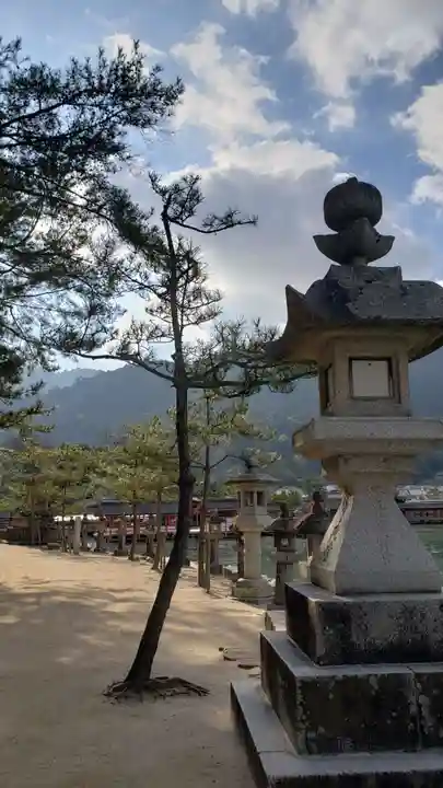 厳島神社の景色