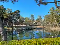 相国寺(相国承天禅寺)の庭園