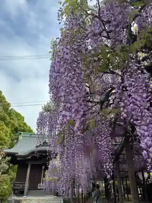 大神宮(福岡県)