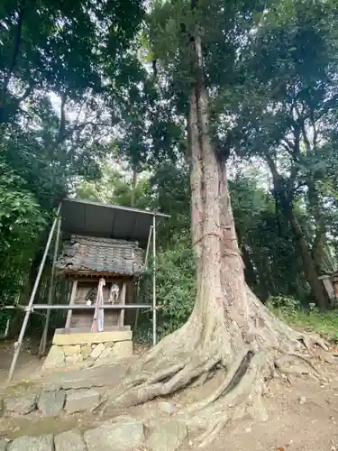 隨心院（随心院）の建物その他