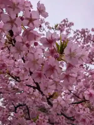 新宿下落合氷川神社(東京都)