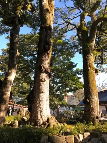 丹後一ノ宮 元伊勢 籠神社(京都府)
