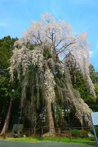 仙台東照宮の自然