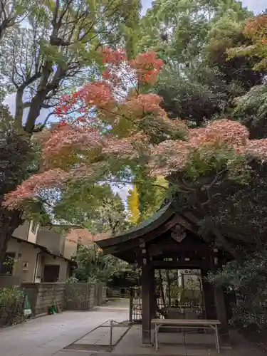 渋谷氷川神社(東京都)