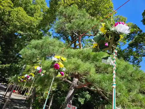 平塚八幡宮(神奈川県)
