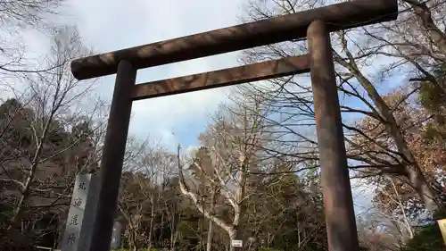 北海道神宮の鳥居