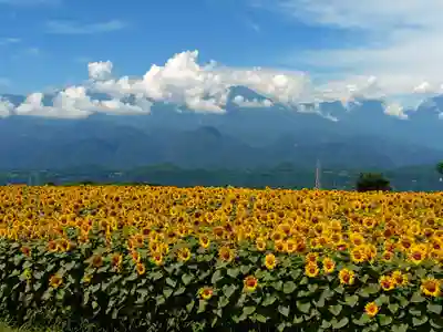 身曾岐神社(山梨県)