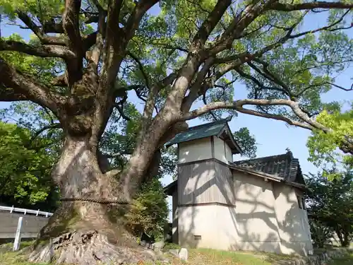 速雨神社の自然