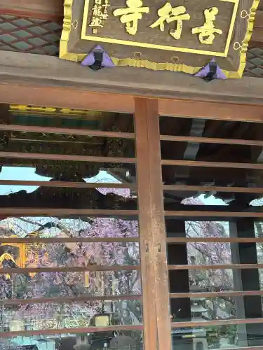 善行寺の{uncategorized: "未分類", other: "その他", undefined: "問題あり", building: "その他建物", grave: "お墓", sacred_gate: "鳥居", guardian: "狛犬", statue: "像", buddha: "仏像", history: "歴史", nature: "自然", garden: "庭園", animal: "動物", pagoda: "塔", temizu: "手水舎", mountain_gate: "山門・神門", sanctuary: "本殿・本堂", subordinate: "末社・摂社", art: "芸術", scenery: "景色", jizo: "地蔵", ema: "絵馬", goshuin: "御朱印", omikuji: "おみくじ", items: "授与品その他", amulet: "お守り", goshuincho: "御朱印帳", eats: "食事", festival: "お祭り", votive_dance: "神楽", shichigosan: "七五三参", wedding: "結婚式", experience: "体験その他", initially: "初詣", around: "周辺", anti_infection: "感染症対策"}