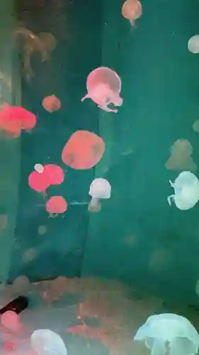 大願寺(広島県)