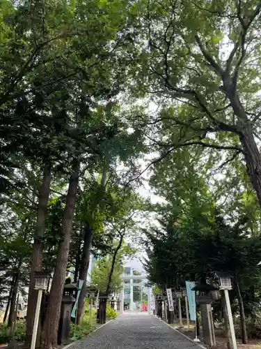 新琴似神社の自然