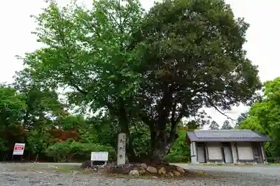 吉野神宮のその他建物