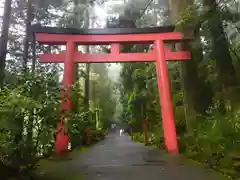 箱根神社の鳥居