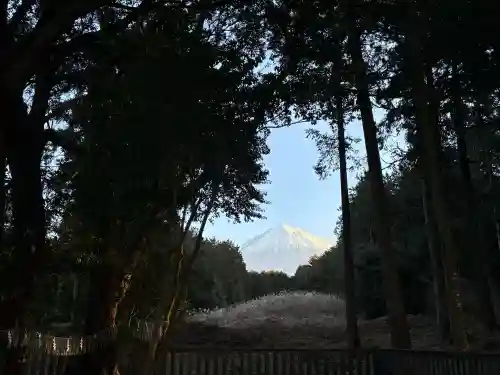 山宮浅間神社の{uncategorized: "未分類", other: "その他", undefined: "問題あり", building: "その他建物", grave: "お墓", sacred_gate: "鳥居", guardian: "狛犬", statue: "像", buddha: "仏像", history: "歴史", nature: "自然", garden: "庭園", animal: "動物", pagoda: "塔", temizu: "手水舎", mountain_gate: "山門・神門", sanctuary: "本殿・本堂", subordinate: "末社・摂社", art: "芸術", scenery: "景色", jizo: "地蔵", ema: "絵馬", goshuin: "御朱印", omikuji: "おみくじ", items: "授与品その他", amulet: "お守り", goshuincho: "御朱印帳", eats: "食事", festival: "お祭り", votive_dance: "神楽", shichigosan: "七五三参", wedding: "結婚式", experience: "体験その他", initially: "初詣", around: "周辺", anti_infection: "感染症対策"}