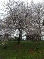 遍照寺(埼玉県)