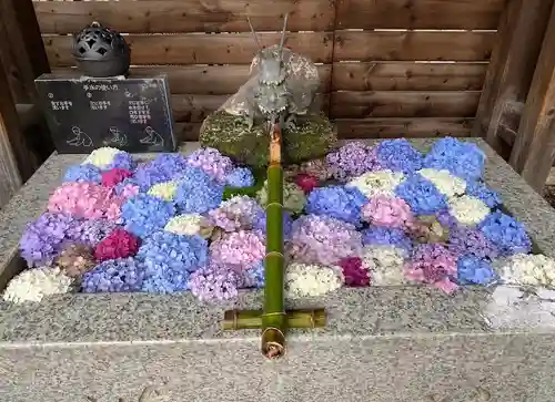 鎮守氷川神社の手水