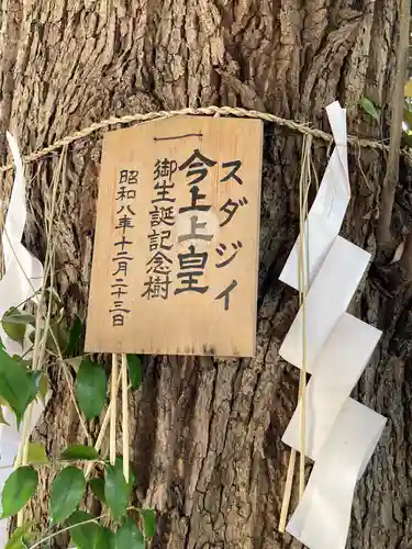 太子堂八幡神社(東京都)