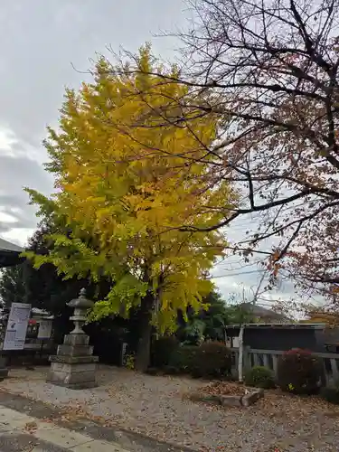 宮戸神社(埼玉県)