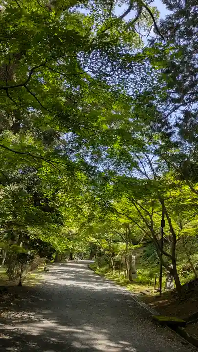 園城寺(三井寺)(滋賀県)