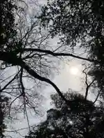 神崎神社(千葉県)
