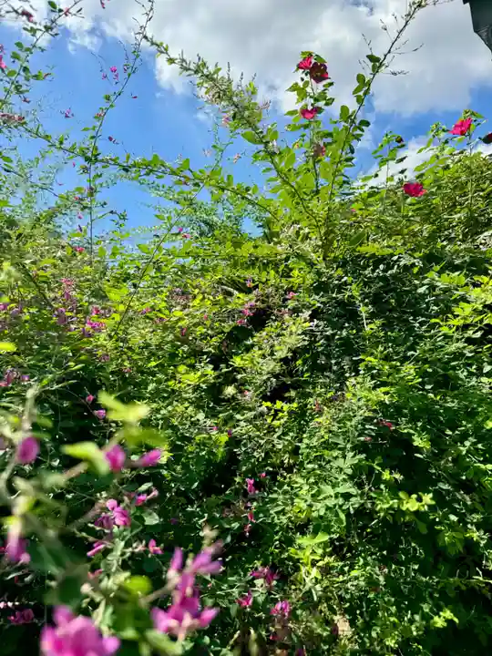勝念寺(かましきさん)(京都府)