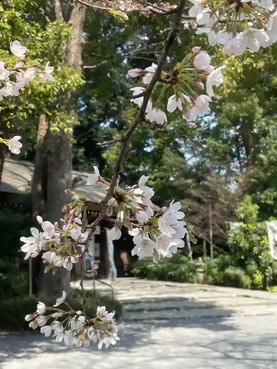 阿佐ヶ谷神明宮(東京都)