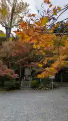 善法律寺(京都府)