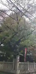 秋葉神社の自然