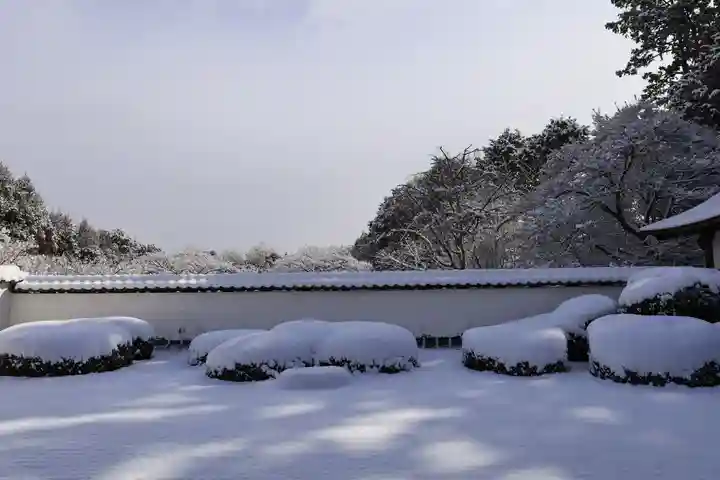 正伝護国禅寺(正伝寺・正傳寺)(京都府)