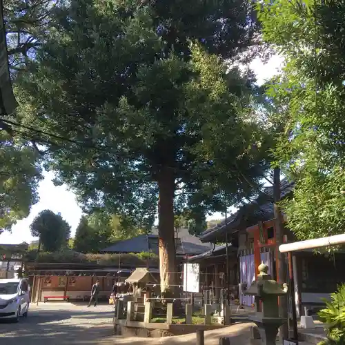 立田阿蘇三宮神社の自然