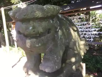 菊田神社の狛犬