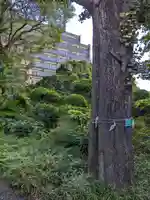 成子天神社(東京都)