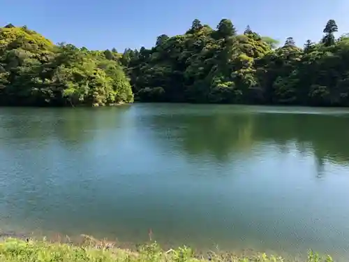 八坂神社の庭園