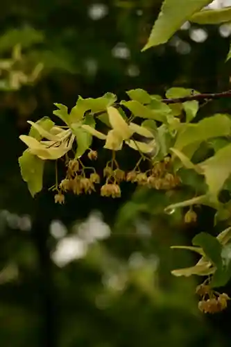 鶴林寺(兵庫県)