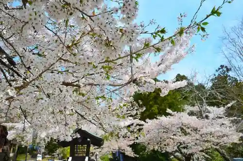 仙台東照宮の自然