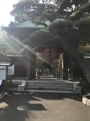長谷寺の山門・神門