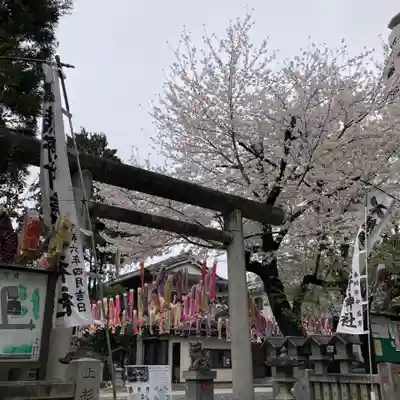くまくま神社(導きの社 熊野町熊野神社)(東京都)
