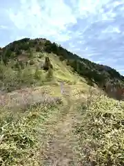 山家神社奥宮の自然