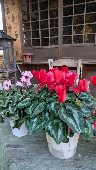 香雪院(京都府)