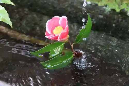 神藏寺(京都府)