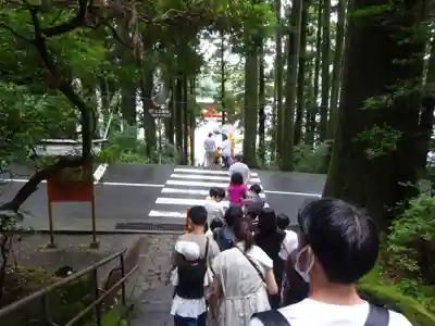 箱根神社のその他建物