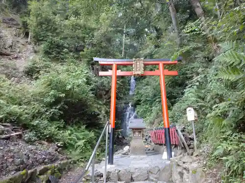 松尾大社の鳥居