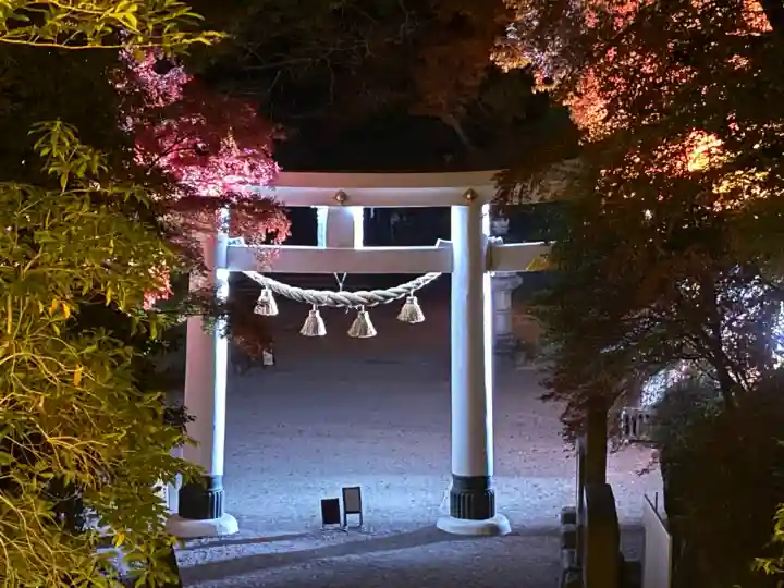宝登山神社(埼玉県)