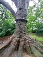 愛宕神社(福島県)